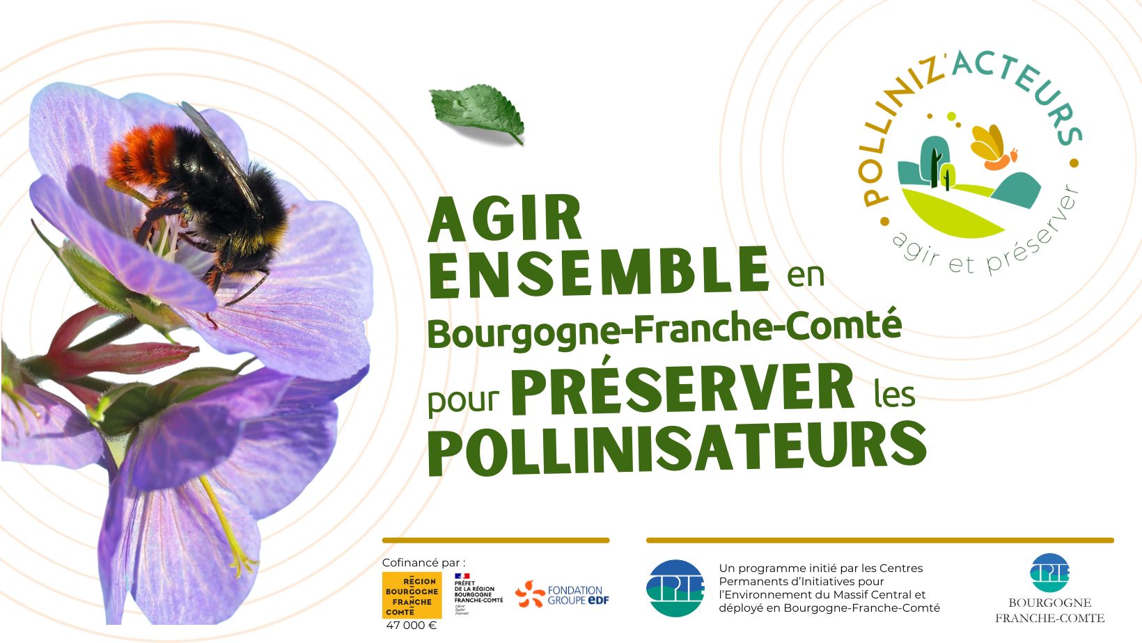 Polliniz'Acteurs